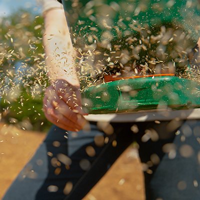 Sning af grs - hvornr?