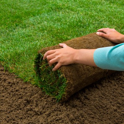 Inspiration til forhaven