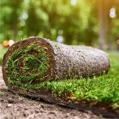 Fordele ved rullegrs