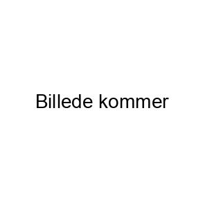 Høslætsvamp